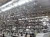  WHITIN Twisters, 120 Spindle, 5.5" Ring,